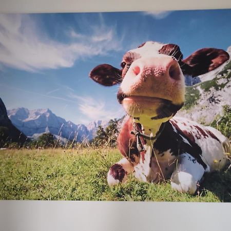 Zuhause In Hofs ,Leutkirch Im Allgaeu Esterno foto